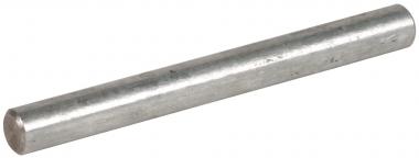 DEHN Runddraht St/Tzn             800008 