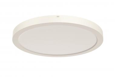RIDI Sanierungsdownlight SARA290 0322095 