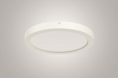 RIDI Sanierungsdownlight SARA220 0322094 