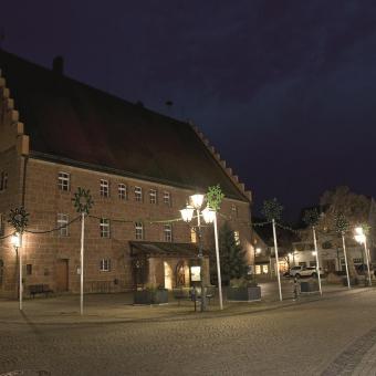 DOTLUX LED Straßenlampe      1665-221360 