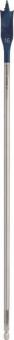 Bosch EXPERT SELFCUT Speed    2608900343 
