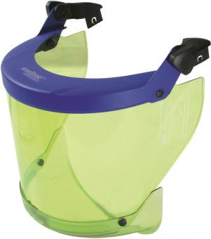 DEHN                        APS T CL2 SC 