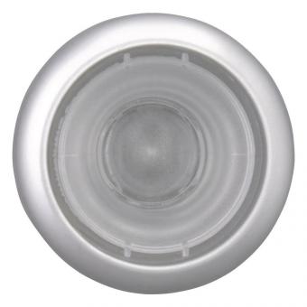 EATON M22-D-X Drucktaste flach    216602 