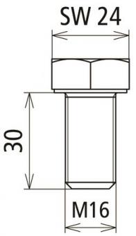 Dehn 419902 D SKS       D SKS M16X30 V4A 
