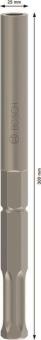 Bosch Erdnageleintreiber      2608690196 