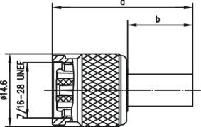TG R-TNC Stecker Reverse     J01010R0000 