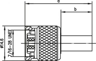 TG R-TNC Stecker Reverse     J01010R0000 
