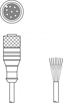 Leuze Anschlussltg.   KD S-M12-8A-P1-050 