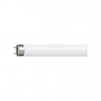 PHIL L-Lampe TL-D 36W-840 1m    55877040 