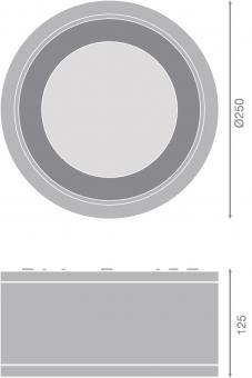Ledvance DL SURFACE IP65 DN 250 P 45W 