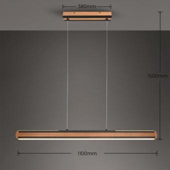 TRIO Pendelleuchte DEANCON 42W 326610232 