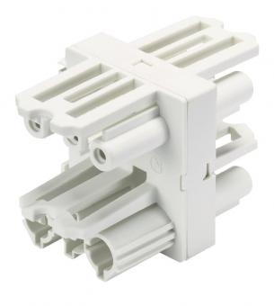 Wieland Verteiler    GST18I3V 3P1 B V WS 