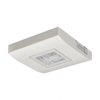 CEAG GuideLed SL 13822.2 1-  40071356552 