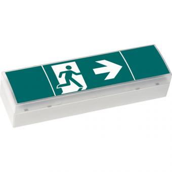 CEAG Notleuchte SV Euro 4-3D 40071354775 