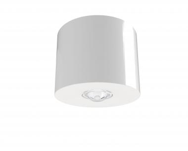 RP SI-Leuchte Decke            IADL529CC 