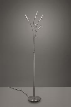 Trio LED-Stehleuchte REED, 5x  R41031507 
