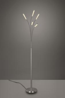 Trio LED-Stehleuchte REED, 5x  R41031507 
