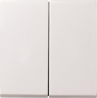 GIRA 029503 Wippe 2fach System 55 