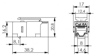 TG AMJ-Kupplung Cat.6+ RJ45  J00029A0061 