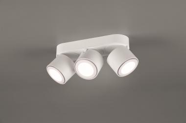 TRIO Ein-/Aufbauspot TAURUS ws 652910331 