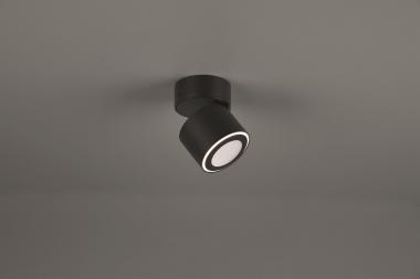 TRIO Ein-/Aufbauspot TAURUS sw 652910132 