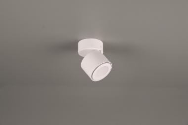 TRIO Ein-/Aufbauspot TAURUS ws 652910131 