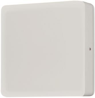 KONS LED Frösche klares Glas    7863-252 