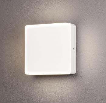 KONS LED Frösche klares Glas    7863-252 
