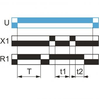 GS Multi-function Timing      RE22R1MYMR 