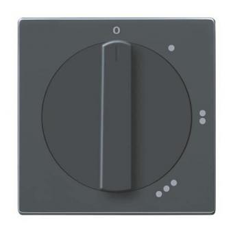 BJ Zentralscheibe Drehs.    2542DR/01-81 