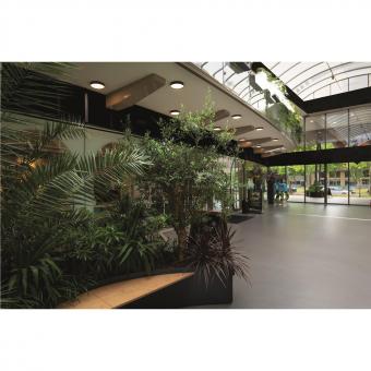 SLV DECONA Wand-u.Deckenaufbau-  1008584 