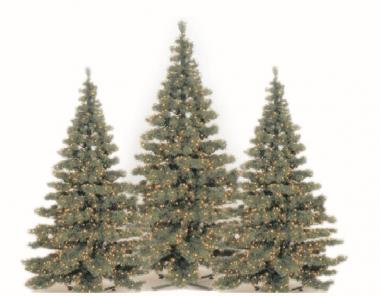 S&H LED Quick Fix Tree 155x210cm   58412 