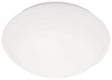 STEIN Sensorleuchte RS PRO LED P2 WW EM 