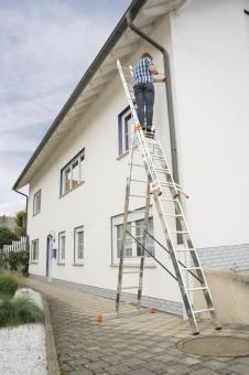 Krause "Tribilo" Sprossen         129789 