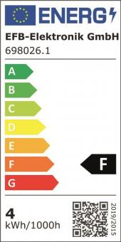EFB Set aus LED Leuchte         698026.1 