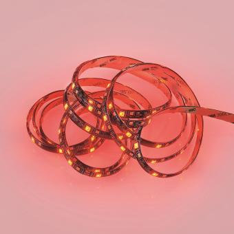 Trio LED-Stripe RUSH, 10,5W,   R65573102 