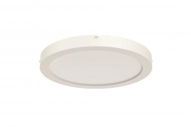 RIDI Sanierungsdownlight SARA220 0322094 