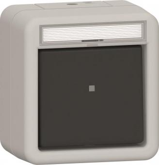 GIRA 315631 Wipptaster Wechsler BSF 