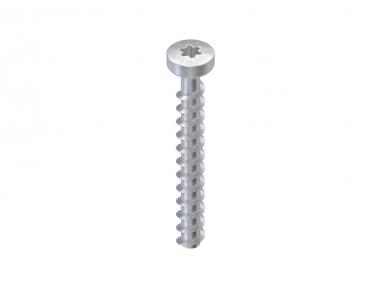 Niedax Schraubanker   NSA 6X50/FKK-T30 V 