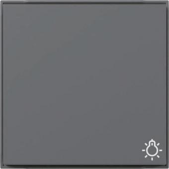 GIRA 328567 Wippe Symbol Licht TX_44 