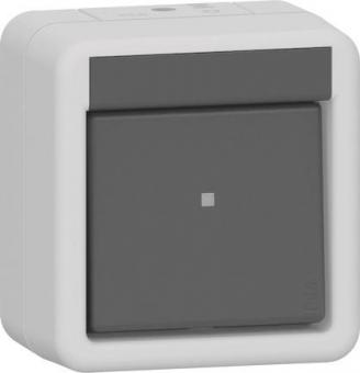 GIRA 310730 Wippschalter Kreuz WG AP 