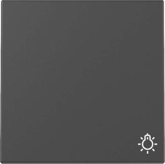 GIRA 3285005 Wippe Symbol Licht 