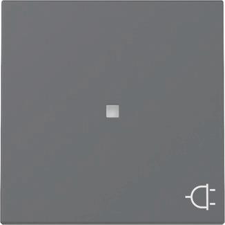 GIRA 329128 Wippe Kontrollfenster+Symbol 