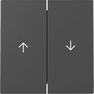 GIRA 3294005 Wippe 2fach Pfeil System 55 