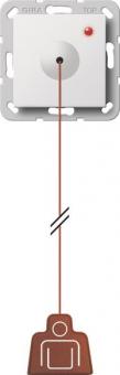 GIRA 291203 Zugtaster System 55 