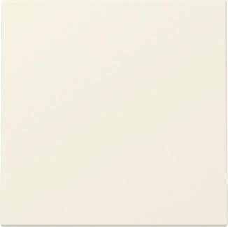 GIRA 329601 Wippe System 55 