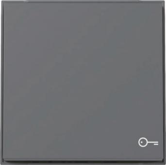 GIRA 328767 Wippe Symbol Tür TX_44 WG UP 