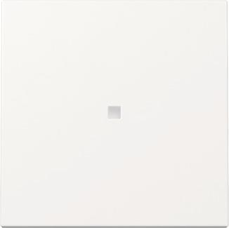GIRA 329003 Wippe Kontrollfenster 