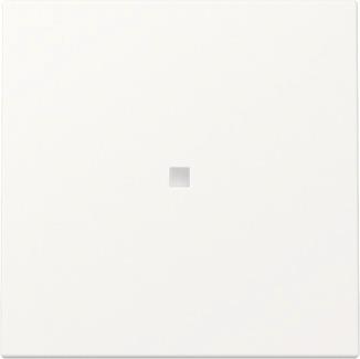 GIRA 329027 Wippe Kontrollfenster 