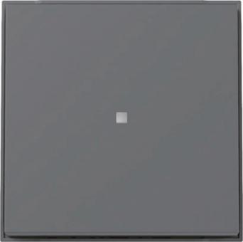 GIRA 329067 Wippe Kontrollfenster TX_44 